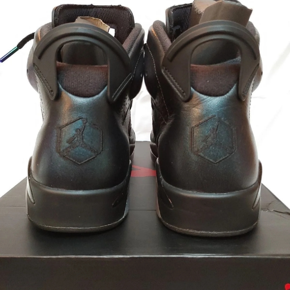 Jordan 6 Retro All Star 2017 "Chameleon" size 11.5 - Picture 6 of 10